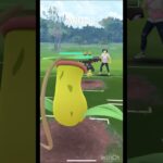 ポケモンGOバトル　激戦