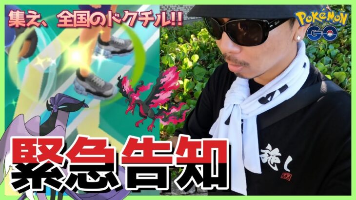 【ポケモンGO】遂に発表日解禁へ！おさおこからのガラル三鳥マスボ捕獲チャレンジ＋ジガルデ・セル調査で魅せた！学習ドクター重大発表に備えよスペシャル！【通常営業の楽しみ方】