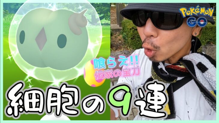 【ポケモンGO】色違えユニラン！遂に解放する伝家の宝刀「７タマ９連クイックブラインドゥ」！アプデ後のルート調査＋タスク確認もやっていたら突然の「神の子」発動スペシャル！【エスパー２日目】