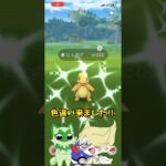 【ポケモンGO】ヒトカゲの色違いメス厳選や！！！