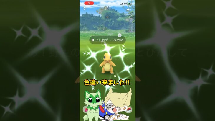 【ポケモンGO】ヒトカゲの色違いメス厳選や！！！