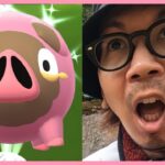 【ポケモンGO】ふんがっ！？色違いグルトンを捕獲せよ！近年稀に見る大量発生を見逃すな！突如復活した「おうごんルアー」に『特殊な仕様』があるのかを確かめるべく大調査スペシャル！【パルデアの冒険】