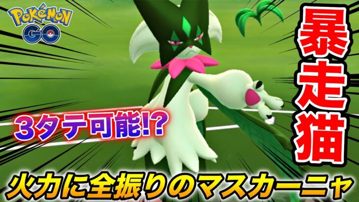 バフがかかると止まらない!? 暴走猫『マスカーニャ』で対戦してみた【ポケモンGO】