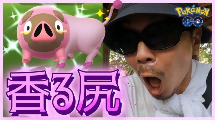 【ポケモンGO】ぶひぶひボンッ！？色違いグルトンを♂♀＋１捕獲せよ！進化させて色違いパフュートンにしたら「予想外の事態」にツボる金沢の傾奇者スペシャル！【パルデアの冒険】