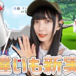 レイドのみ出現なオトシドリは色違いも新実装！これは狙いたいところ！【ポケモンGO】