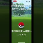 【ポケモンGO】毎日違うポケモン捕まえる旅 本日はニャオハ#ポケモン#ポケモンGO#ニャオハ