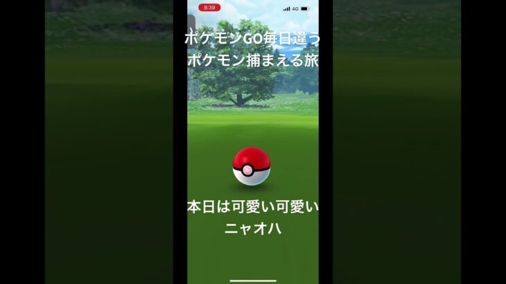 【ポケモンGO】毎日違うポケモン捕まえる旅 本日はニャオハ#ポケモン#ポケモンGO#ニャオハ