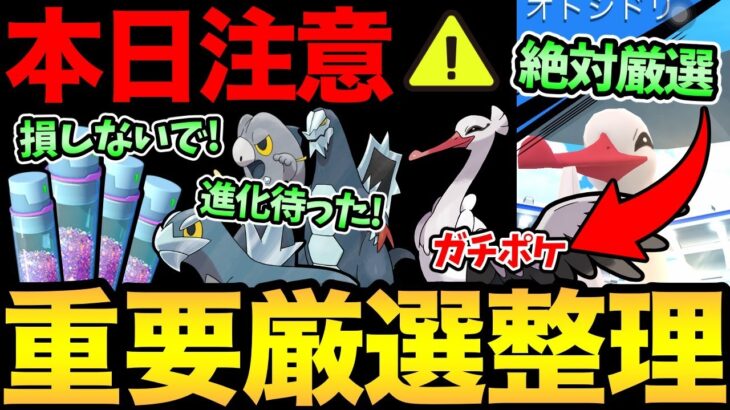 本日確認しないと大損！？〇〇変更に注意して！さらにスルーしがちな厳選ガチ案件の整理も！【 ポケモンGO 】【 GOバトルリーグ 】【 GBL 】【 ハイパーリーグ 】