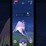 【ポケモンGO】ついに発見ガラルフリーザー！マスターボールくるのか？【ガラル三鳥】 #shorts  #ポケモンgo  #ガラル三鳥