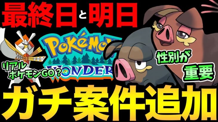 追加のガチ案件判明！想像以上に強そう！さらに本日の最終日に注意！リアルポケモンGOの話も…【 ポケモンGO 】【 GOバトルリーグ 】【 GBL 】【 スーパーリーグ 】