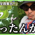 【ポケモンGO】ん？まさか？ちょ待って…？ジガルデ・セルに異変が？色違いオトシドリを狙って果敢に３つ星レイドガチャに挑戦しながら「ガラル三鳥」が出れば100％捕獲してゆくスペシャル！【パルデア後編】