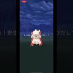 【ポケモンGO】✨ガーディ11連ガチャ【タイムチャレンジ】