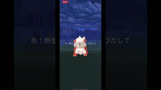 【ポケモンGO】✨ガーディ11連ガチャ【タイムチャレンジ】