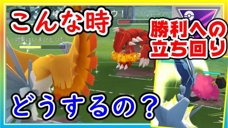 こんな勝ち方アリ！？最強パーティーで特殊な勝ち方を実況解説！【ポケモンGO】【シーズン16】【マスターリーグ】