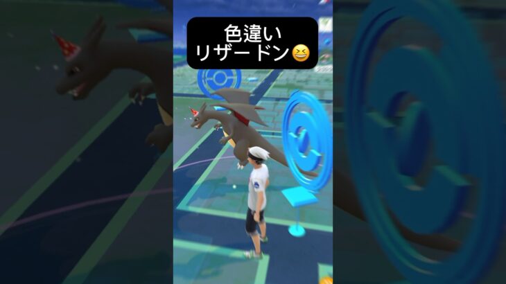 【ポケモンGO】リザードンが現れた!!【✨Charizard Pokémon GO X Pokemon Card Artwalk✨】