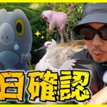 【ポケモンGO】知らなきゃ損！激レア「セビエ」に背筋が凍る！？かわいさMAX「パモ＆マメバッタ」＋新規色違い「オトシドリ」は超難関！？結果にコミットする冒険方法の前日確認スペシャル！【パルデア後編】