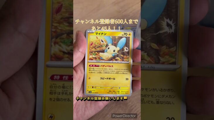 Pokémon Cardレイジングサーフ開封動画 #ポケカ #オリパ #ポケモンカード #ポケモンgo #ガチャ #pokemon #レイジングサーフ