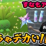 めちゃくちゃデカいぞ!?XXL色違い!ナゾノクサのリサーチデイですなも稼ぐぞ!!【ポケモンGO】