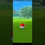 20231017のポケモンgoのニャオハー。