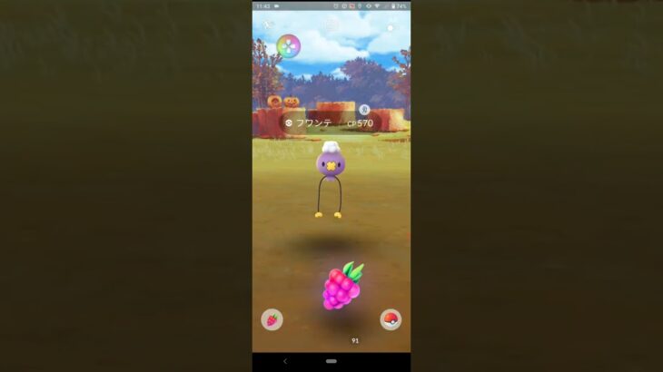 20231029のポケモンgoのフワンテ