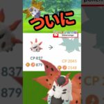 【ポケモンGO】やっと！メラルバからウルガモスからの？ #相棒