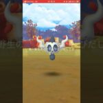 【ポケモンGO】リワードタスク産　色違いボクレーゲットです！