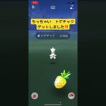 ちっちゃいヒーロー　トゲチック　ゲットしました‼️  ポケモンGO