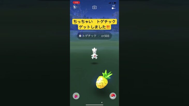 ちっちゃいヒーロー　トゲチック　ゲットしました‼️  ポケモンGO