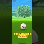 シャドウ　アチャモ　ゲット😍‼️   チキンラーメン　芦田愛菜　ＣＭ　ポケモンGO