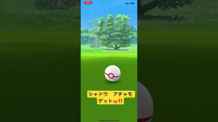 シャドウ　アチャモ　ゲット😍‼️   チキンラーメン　芦田愛菜　ＣＭ　ポケモンGO