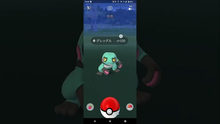 ポケモンGO　色違い　最高の瞬間♯７５