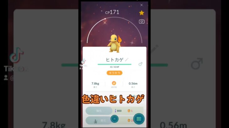 ポケモンGO色違い〇〇〇〇ゲット