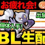 シャドウルギアレイド初日お疲れ様でした！いま旬のあのシャドウポケモンの神個体入手！早速使うぞ！！！【 ポケモンGO 】【 GOバトルリーグ 】【 GBL 】【 ハロウィンカップ 】