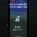 ポケモンGO毎日違うポケモン捕まえる旅 本日はオドリドリ #ポケモン #ポケモンgo #毎日投稿