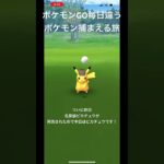 ポケモンGO毎日違うポケモン捕まえる旅 番外編 名探偵ピカチュウ #ポケモン #ポケモンgo #名探偵ピカチュウ