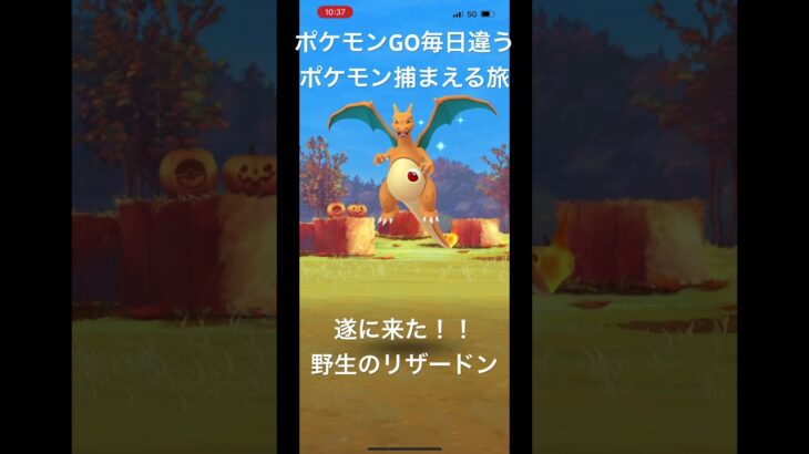 ポケモンGO毎日違うポケモン捕まえる旅 遂に野生のリザードン！？ #ポケモン #ポケモンgo #チャンネル登録お願いします