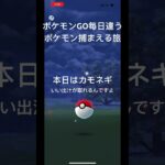 【ポケモンGO毎日違うポケモン捕まえる旅 本日はいい出汁カモネギ #ポケモン #ポケモンgo #いい出汁