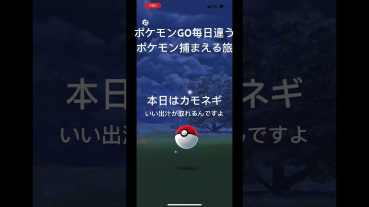 【ポケモンGO毎日違うポケモン捕まえる旅 本日はいい出汁カモネギ #ポケモン #ポケモンgo #いい出汁