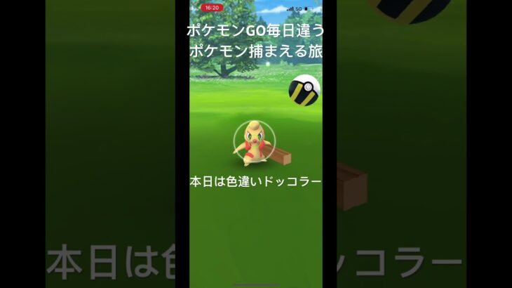 ポケモンGO毎日違うポケモン捕まえる旅 本日は色違いドッコラー #ポケモン #ポケモンgo