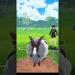 【ポケモンGO】陽光カップ初日の人気者はヤルキモノ #ポケモンgo #pokemongo #goバトルリーグ #GBL#PvP#shorts