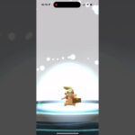 【ポケモンGO】色違いドテッコツへ進化させる！コミュニティデイ #shorts