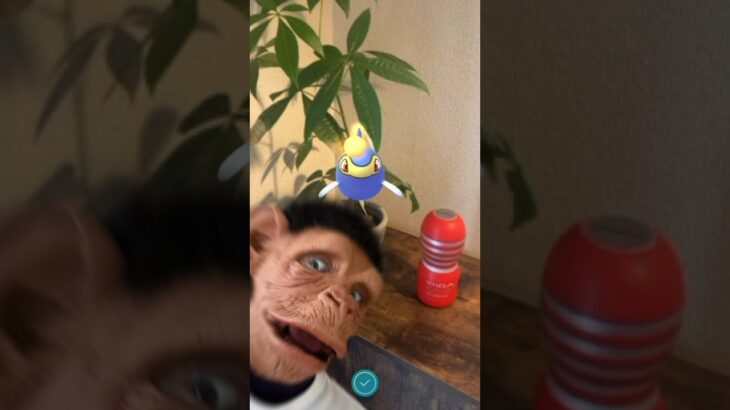 ポケモンGOのスナップショットに映り込んでくる奴 #shorts