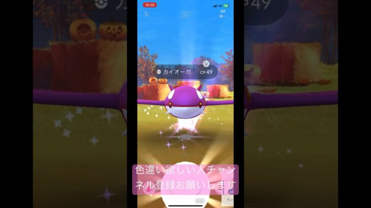 【ポケモンGO】色違いカイオーガが出現！ですが、このカイオーガは… #shorts #ポケモンgo #ポケモンgo色違い