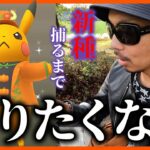 【ポケモンGO】帰りたい・・・帰れない・・・色違いかぼちゃピカチュウ・・・新シャドウってどこにおるん？【ハロウィン2023part②４日目】