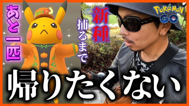 【ポケモンGO】帰りたい・・・帰れない・・・色違いかぼちゃピカチュウ・・・新シャドウってどこにおるん？【ハロウィン2023part②４日目】