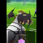 【ポケモンGOバトル#93】これで連勝記録伸ばしました✨さあ今すぐ上の🐸マークをタップして👍&チャンネル登録しよう！！ココチAチャンネルオリジナルポケモンGOバトル動画がいつでもどこでも見放題だ