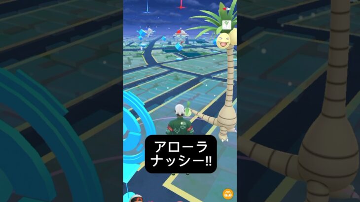 【ポケモンGO】アローラナッシーが現れた!!【✨Alola Exeggutor Pokémon GO X Pokemon Card Artwalk✨】