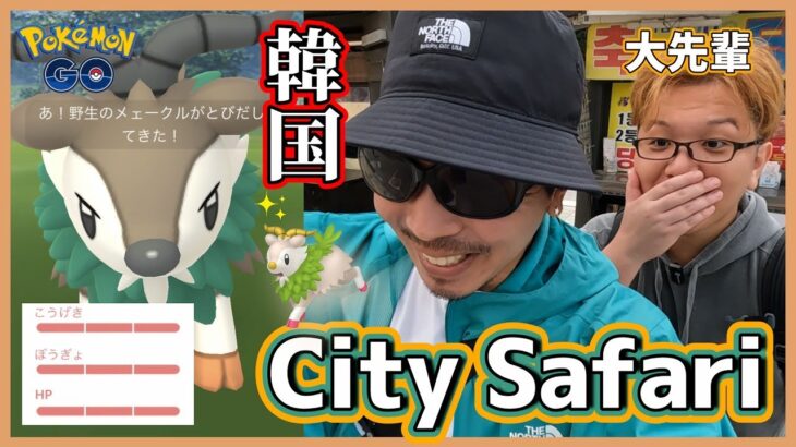 【ポケモンGO】史上初開催CitySafariに参戦！第1回は韓国（ソウル）！新実装「メェークル」の色違いを捕獲せよ！遂に「あの大先輩」がドクター動画に初登場スペシャル！【サファリ帽イーブイ】