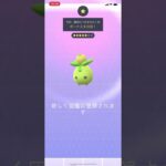 【ポケGO】ミニーブが実装された！【ポケモンGO/Pokémon GO】