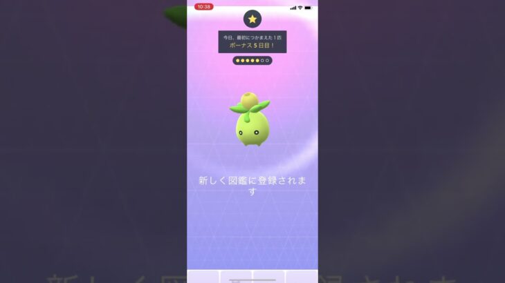 【ポケGO】ミニーブが実装された！【ポケモンGO/Pokémon GO】